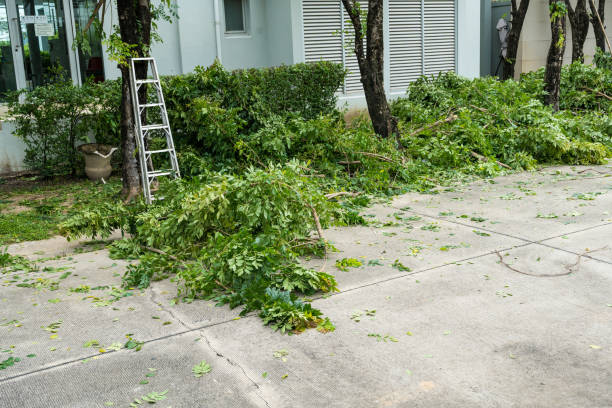 Best Hazardous Tree Removal  in Cumberland, IN